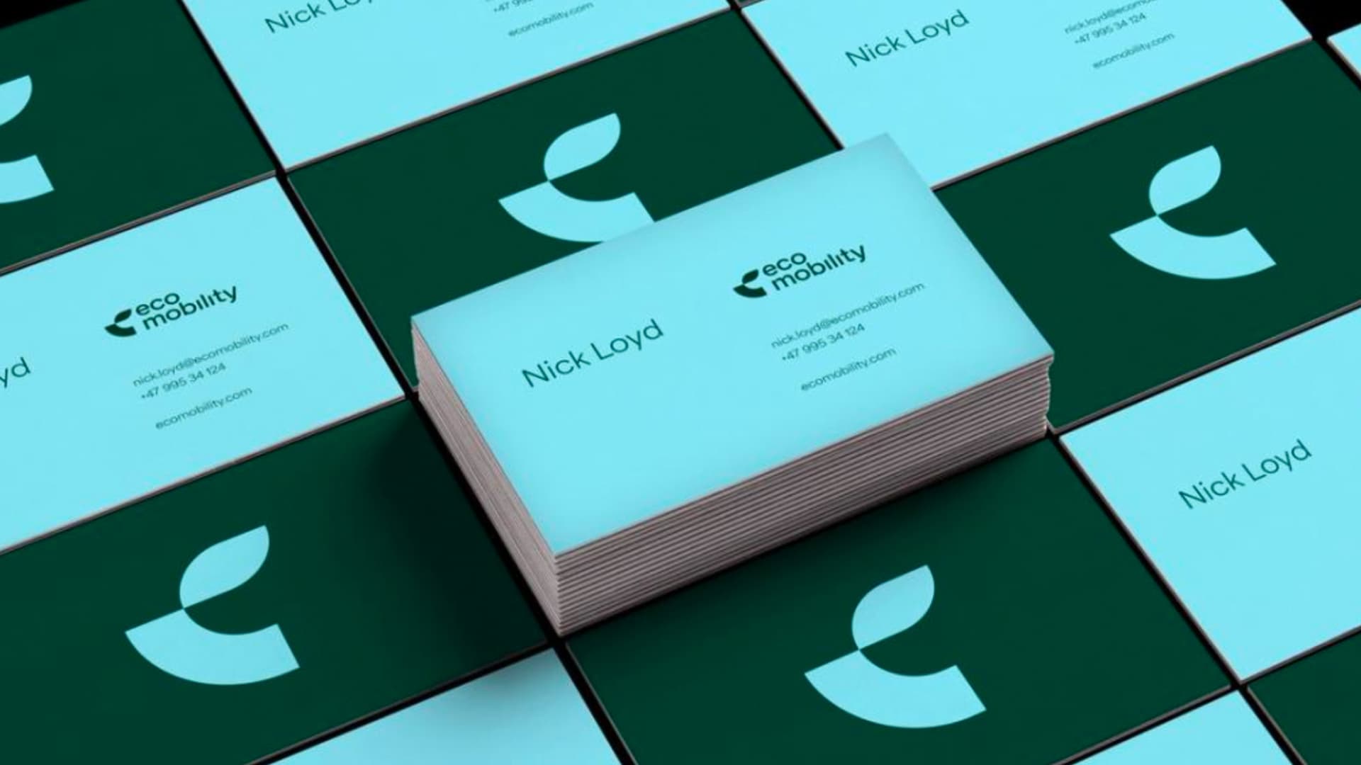 Visual Identity — image 7