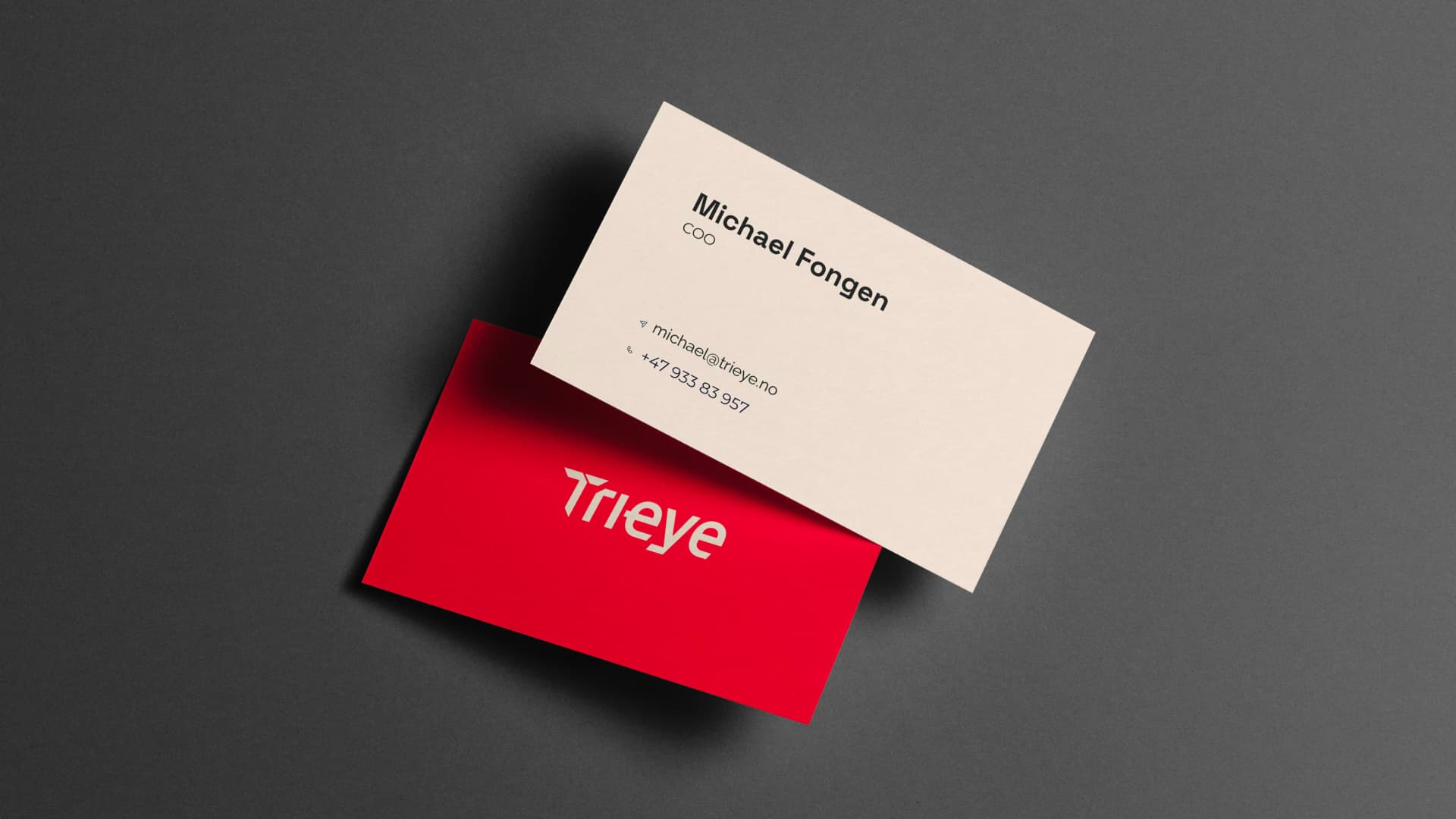 Visual Identity — image 9